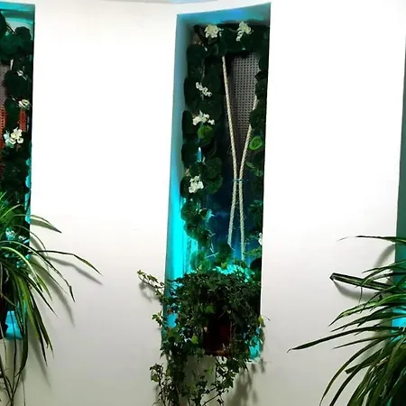 Iorga's House * אפורי נורד