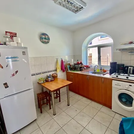 Vila Iorga's House