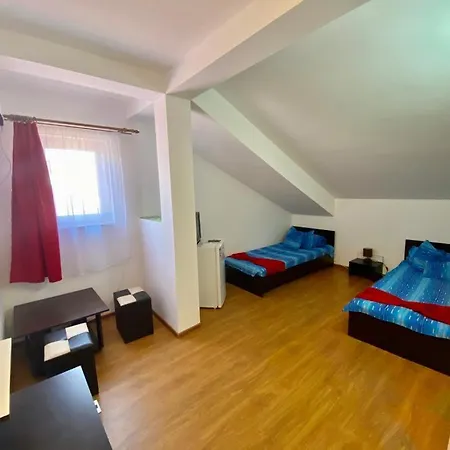 Iorga's House אפורי נורד