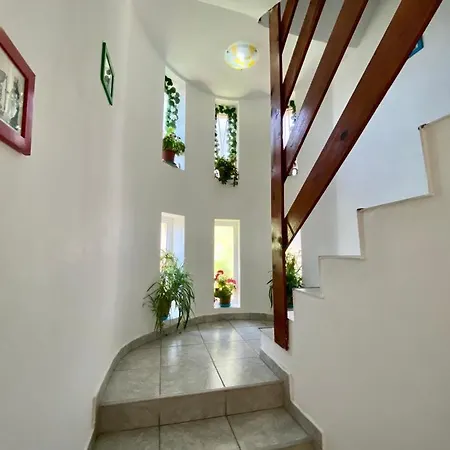 Iorga's House Vila *
