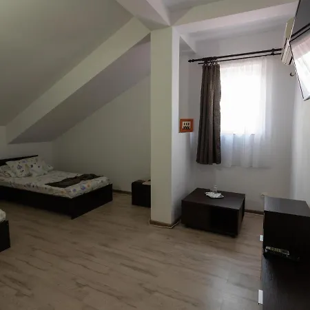 Vila Iorga's House