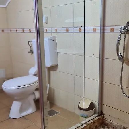 Vila Iorga's House
