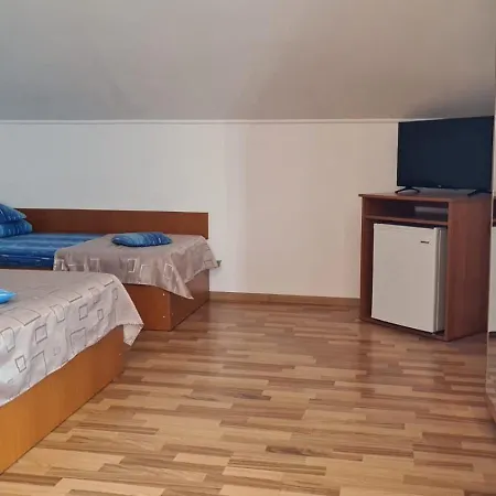 Vila Iorga's House *