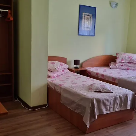 Vila Iorga's House