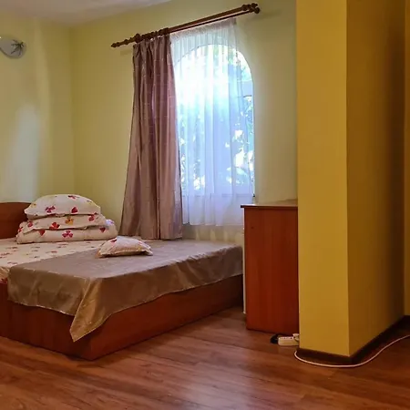 Iorga's House Vila *